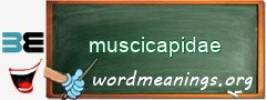 WordMeaning blackboard for muscicapidae